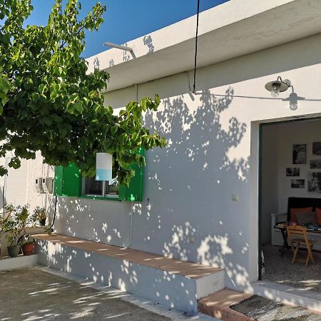 Maison De Village Au Calme - Alonia Village House Psinthos المظهر الخارجي الصورة