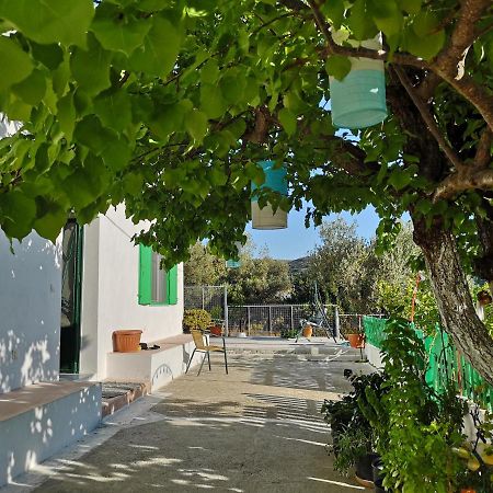 Maison De Village Au Calme - Alonia Village House Psinthos المظهر الخارجي الصورة