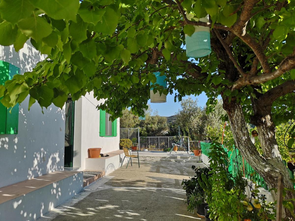 Maison De Village Au Calme - Alonia Village House Psinthos المظهر الخارجي الصورة